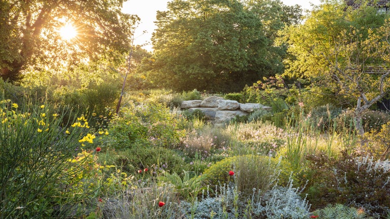 The rising sun picks out the textures in Delos, Sissinghurst